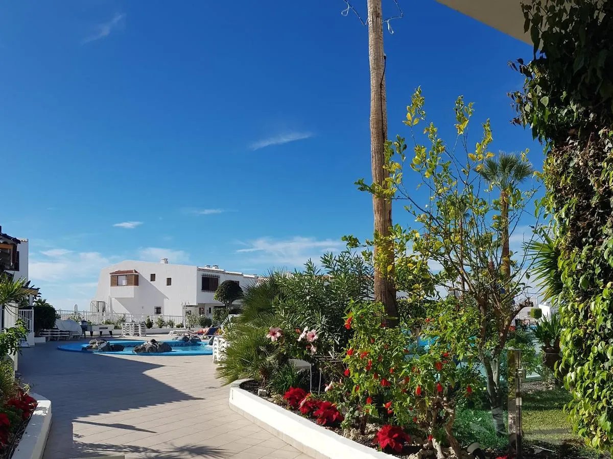 Apartment Club Atlantis Bungalow First Line Costa Adeje  Costa Adeje (Tenerife)